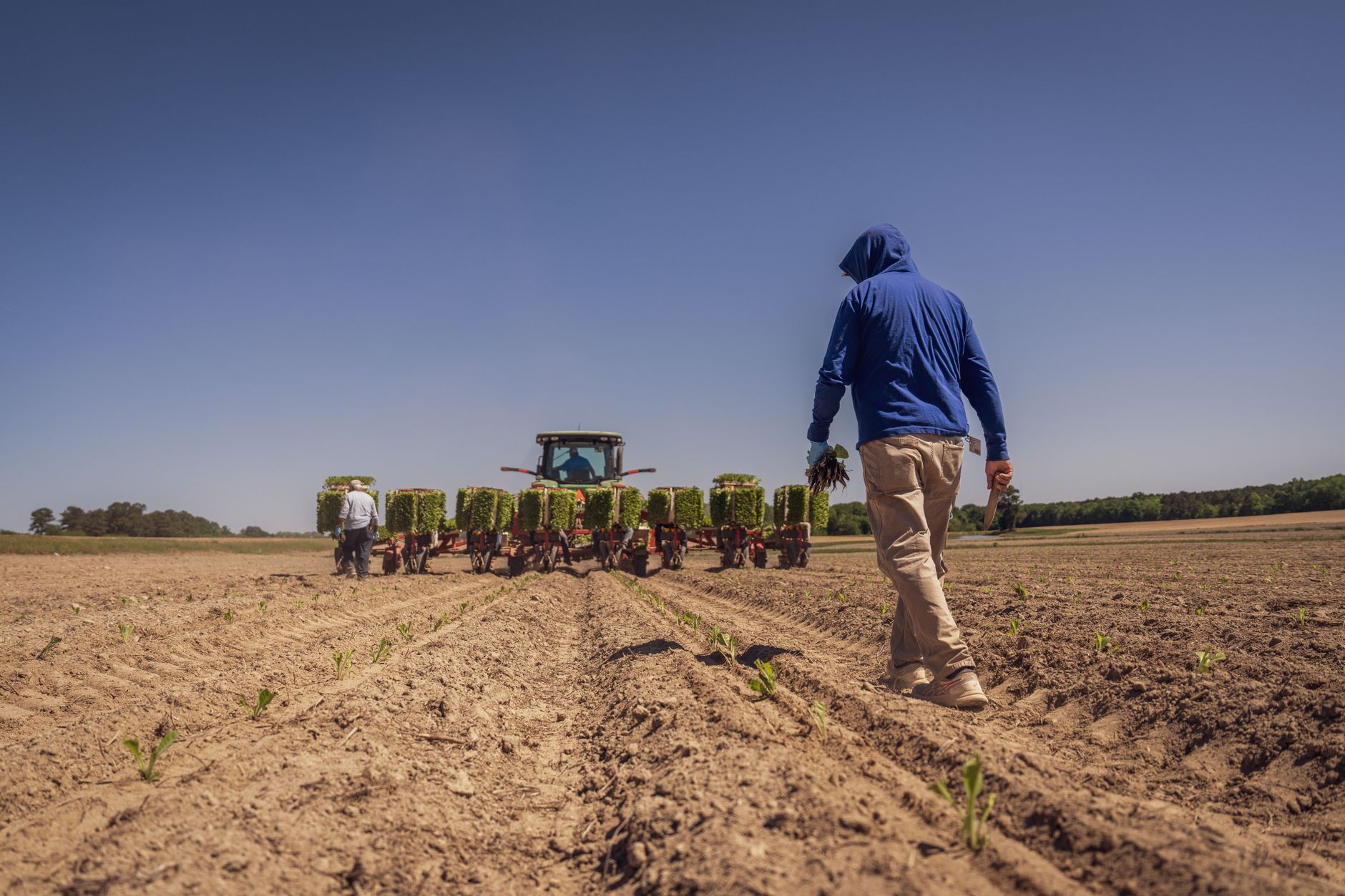 Why Agriculture Businesses in Ballarat Choose Photography That Actually Works