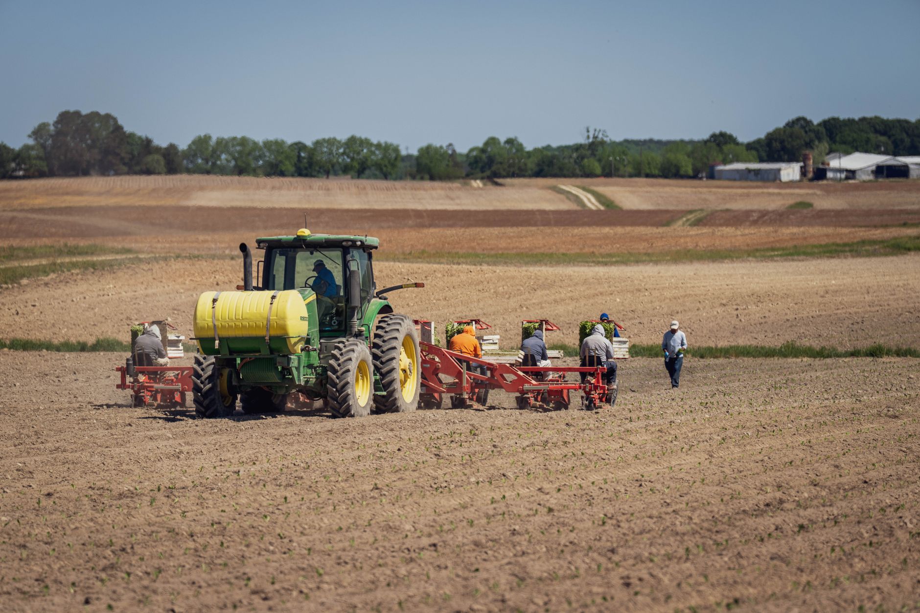 E-commerce for Agriculture Businesses in Smythesdale