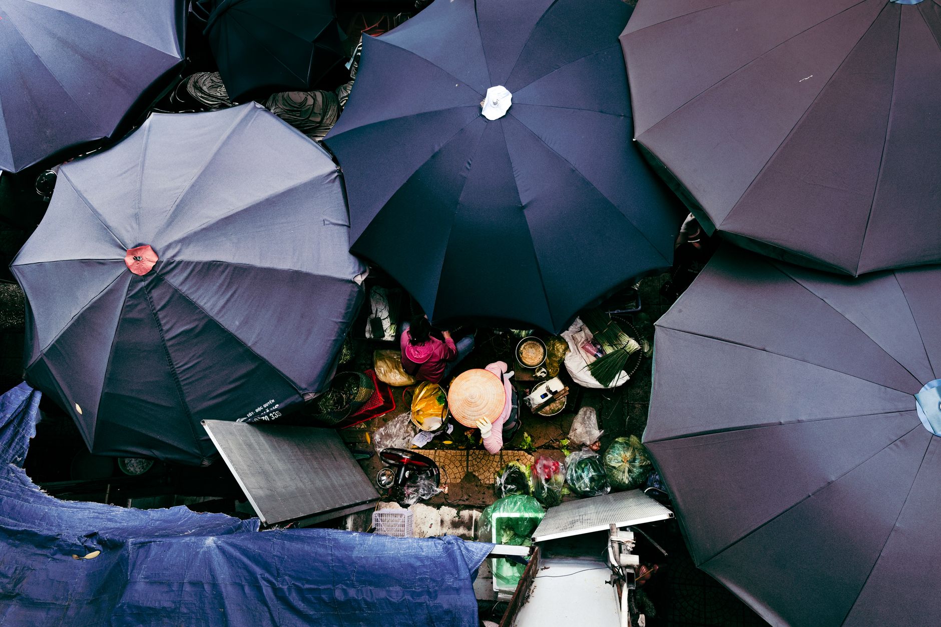 Why Vendor Advocates in Narre Waren Choose Digital Marketing That Actually Works