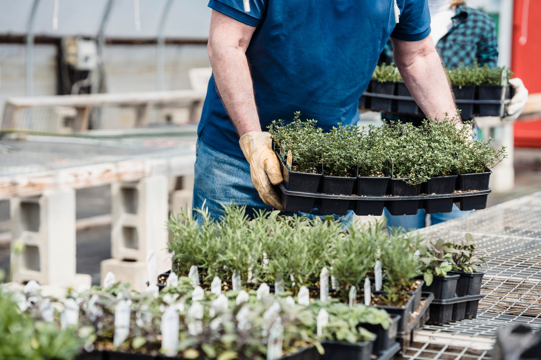 Photography for Plant Nurseries in Melbourne — July 2026 Guide