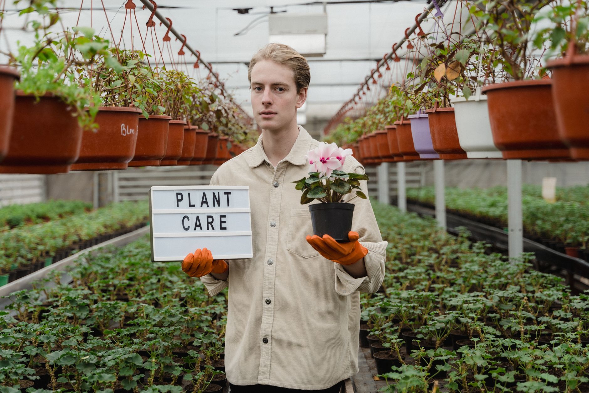 5 Reasons Plant Nurseries in Ballarat Need Custom Development in 2026