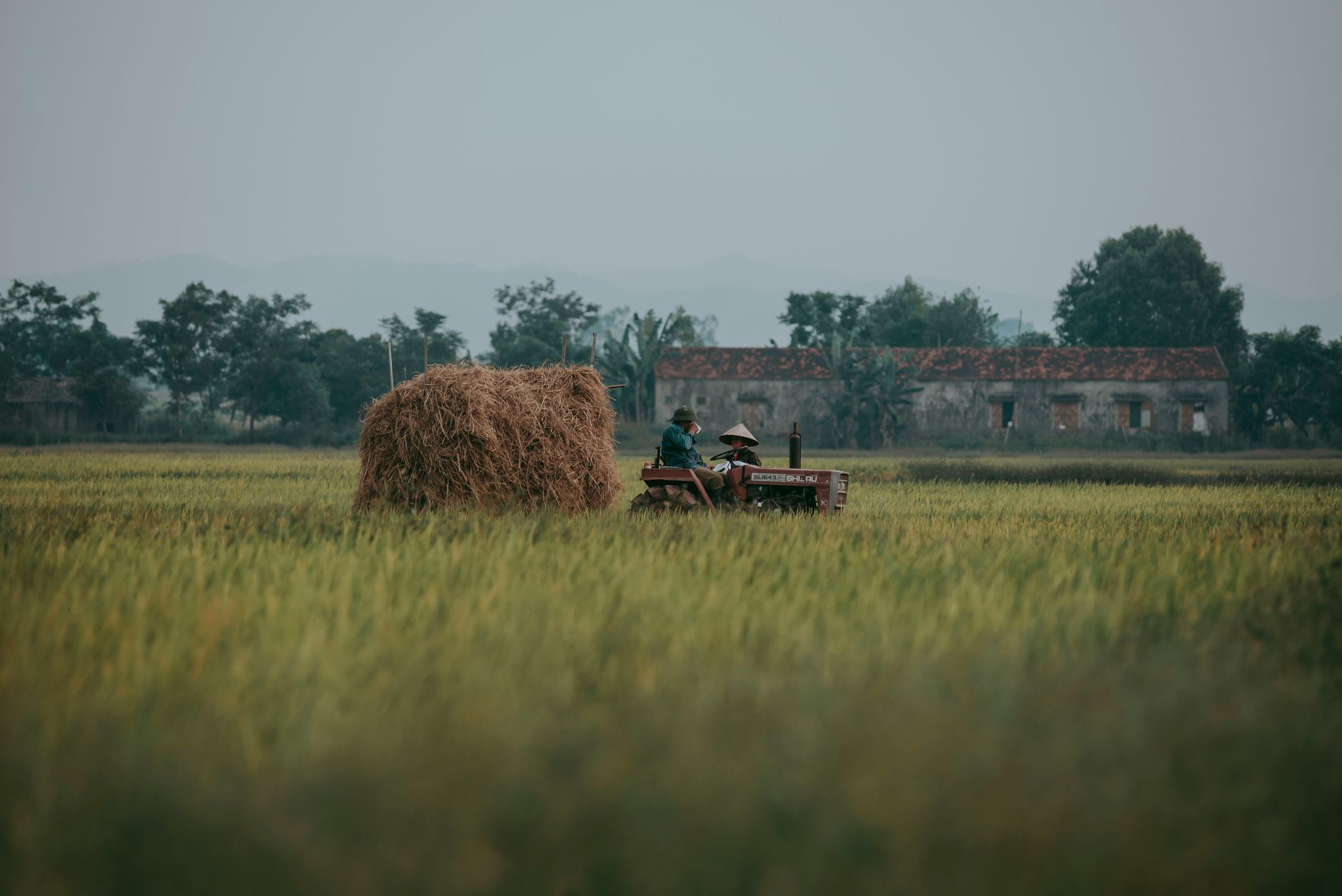 Custom Development for Agriculture Businesses in Ballarat — September 2026 Guide