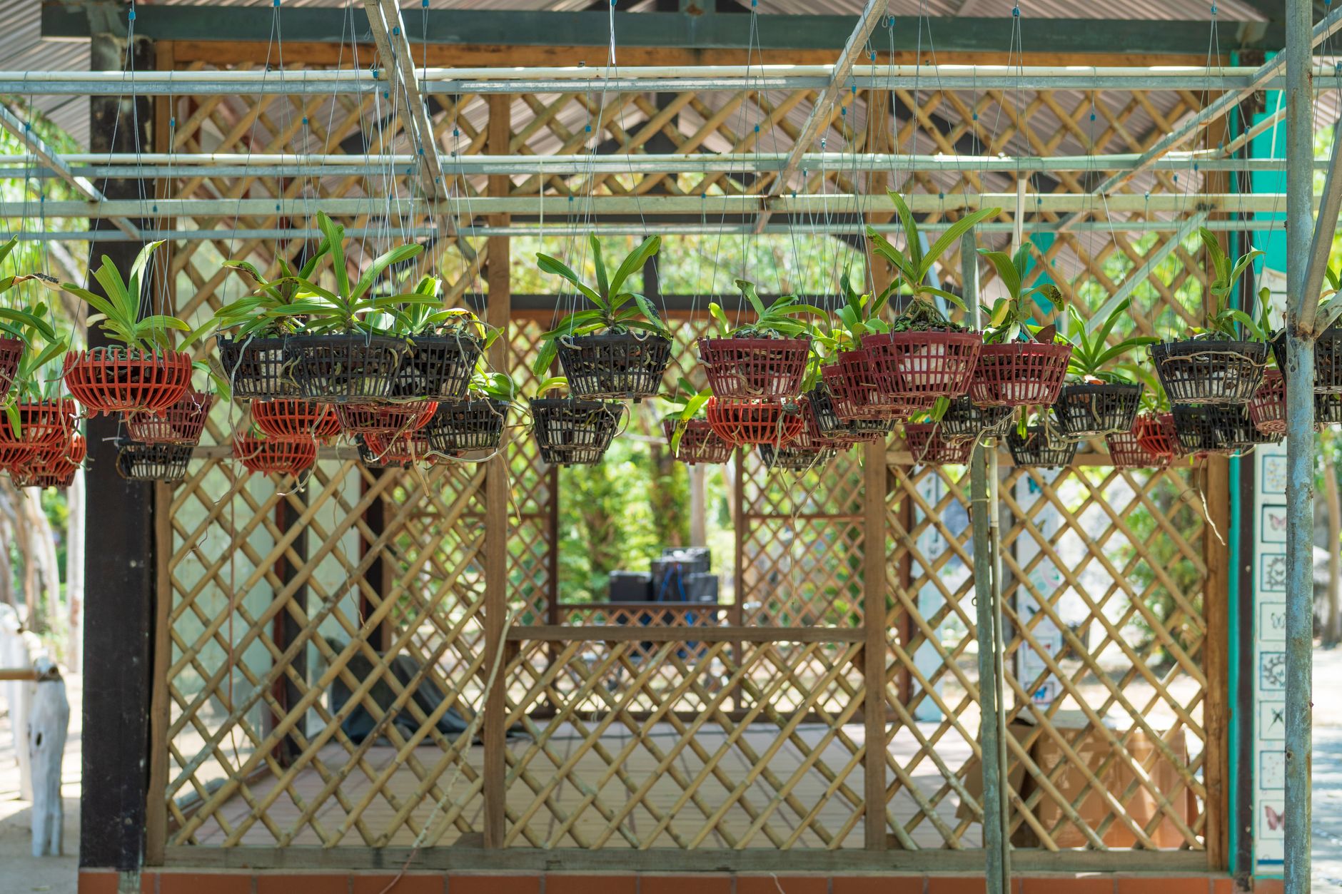 Graphic Design for Plant Nursery Businesses in Ballarat